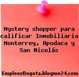 Mystery shopper para calificar Inmobiliaria Monterrey, Apodaca y San Nicolás