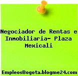 Negociador de Rentas e Inmobiliaria- Plaza Mexicali