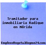 Tramitador para inmobiliaria Radique en Mérida