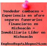 Vendedor cambaceo – Experiencia en afore seguros funerarios financieros en Michoacán – Inmobiliaria Líder en Michoacán