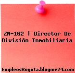 ZN-162 | Director De División Inmobiliaria