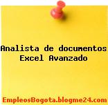 Analista de documentos Excel Avanzado
