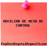 AUXILIAR DE MESA DE CONTROL