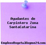 Ayudantes de Carpintero Zona SantaCatarina