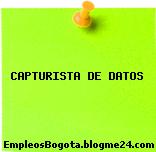 CAPTURISTA DE DATOS