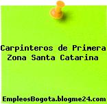 Carpinteros de Primera Zona Santa Catarina
