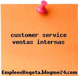 customer service ventas internas