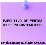EJECUTIVO DE VENTAS TELEFÓNICAS-ECATEPEC