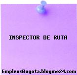 INSPECTOR DE RUTA