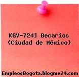 KGV-724] Becarios (Ciudad de México)