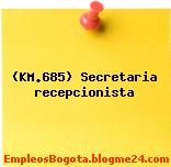 (KM.685) Secretaria recepcionista