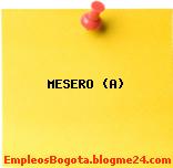 MESERO (A)
