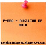 P-559 – AUXiLIAR DE RUTA
