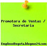 Promotora de Ventas / Secretaria