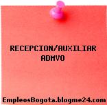 RECEPCION/AUXILIAR ADMVO