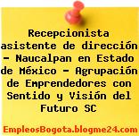 Recepcionista asistente de dirección – Naucalpan en Estado de México – Agrupación de Emprendedores con Sentido y Visión del Futuro SC