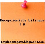 Recepcionista bilingüe | A