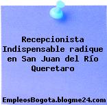 Recepcionista Indispensable radique en San Juan del Río Queretaro