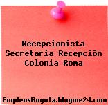 Recepcionista Secretaria Recepción Colonia Roma