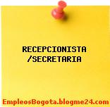 RECEPCIONISTA / SECRETARIA