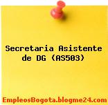 Secretaria Asistente de DG (AS503)