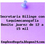 Secretaria Bilinge con taquimecanogafía Benito juarez de 12 a 15 mil