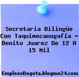 Secretaria Bilingüe Con Taquimecanogafía – Benito Juarez De 12 A 15 Mil