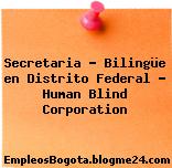 Secretaria – Bilingüe en Distrito Federal – Human Blind Corporation