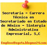 Secretaria – Carrera Técnica en Secretariado en Estado de México – Sintergia Administrativa Empresarial, S.C