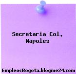 Secretaria Col. Napoles