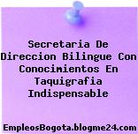 Secretaria De Direccion Bilingue Con Conocimientos En Taquigrafia Indispensable