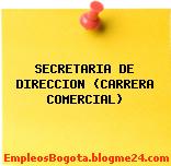 SECRETARIA DE DIRECCION (CARRERA COMERCIAL)