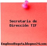 Secretaria de Dirección TIF