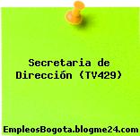 Secretaria de Dirección (TV429)