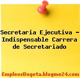 Secretaria Ejecutiva – Indispensable Carrera de Secretariado