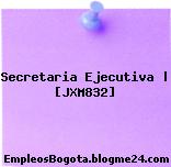 Secretaria Ejecutiva | [JXM832]