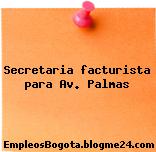 Secretaria facturista para Av. Palmas