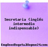 Secretaria (inglés intermedio indispensable)