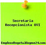 Secretaria Recepcionista OVI
