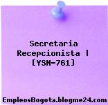 Secretaria Recepcionista | [YSN-761]