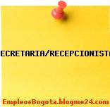 SECRETARIA/RECEPCIONISTA