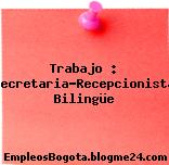 Trabajo : Secretaria-Recepcionista Bilingüe