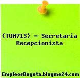 (TUM713) – Secretaria Recepcionista