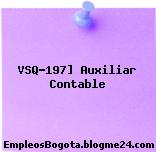 VSQ-197] Auxiliar Contable
