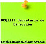 WCQ111] Secretaria de Dirección