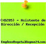 (XDZ85) – Asistente de Dirección / Recepción
