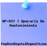 AP-937 | Operario De Mantenimiento