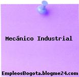 Mecánico Industrial