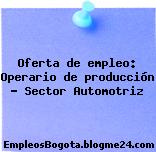 Oferta de empleo: Operario de producción – Sector Automotriz