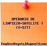 OPERARIO DE LIMPIEZA-SATELITE | (V-577)